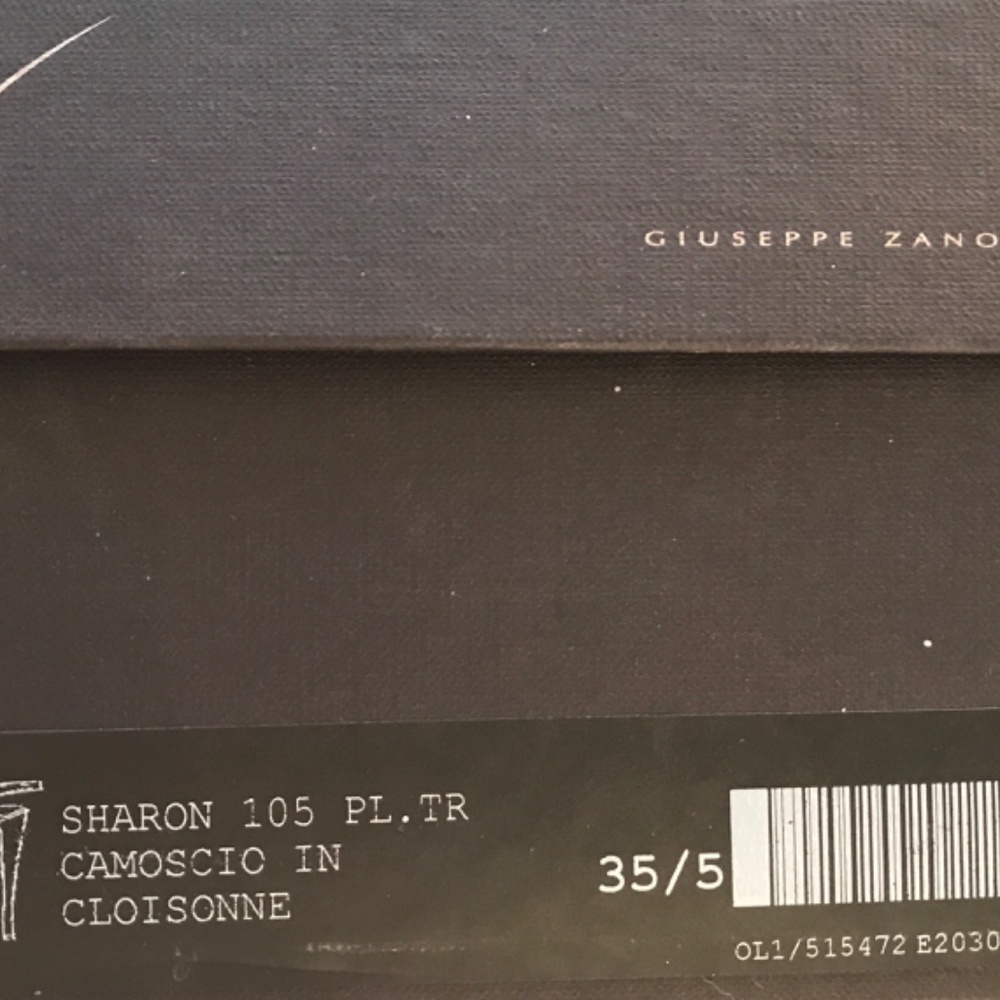 Giuseppe Zanotti Platform Sandal Custom - image 6